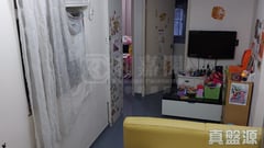 東蘭閣 B座 極高層 M13室 西九龍