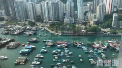 倚南 極高層 D室 鴨脷洲