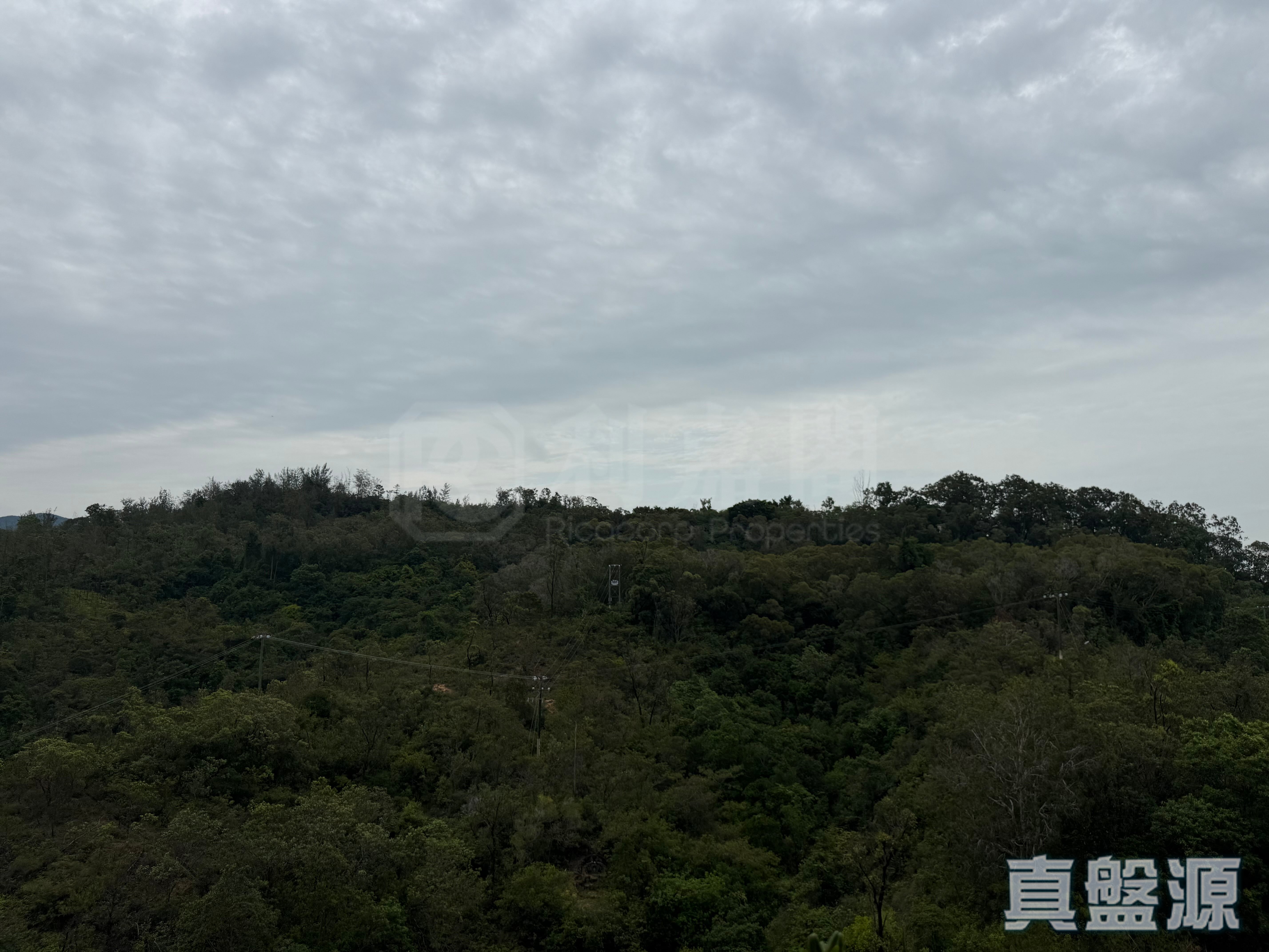 上源 6B座 高层 E室 深井/青山公路