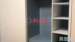皓畋