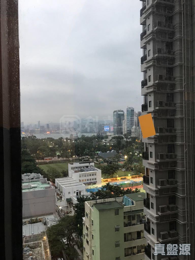 雋琚 低層 D室 跑馬地/東半山