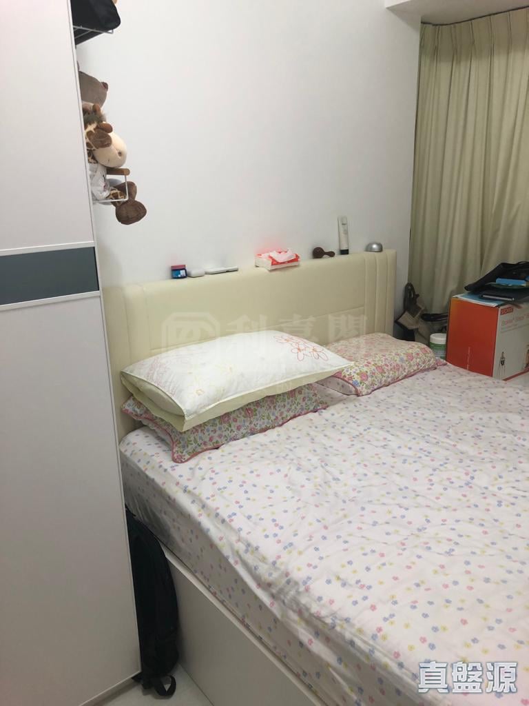 藍灣半島 9座 高層 E室 杏花邨/藍灣半島/柴灣