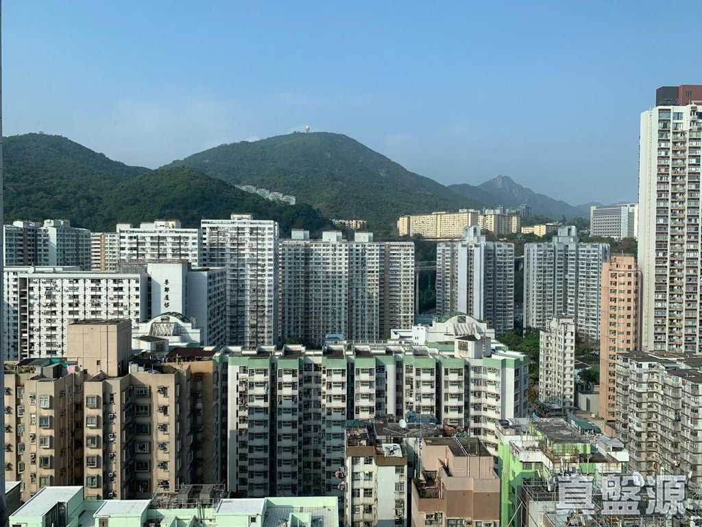 THE ASTRO Very High Floor Zone Flat F West Kowloon