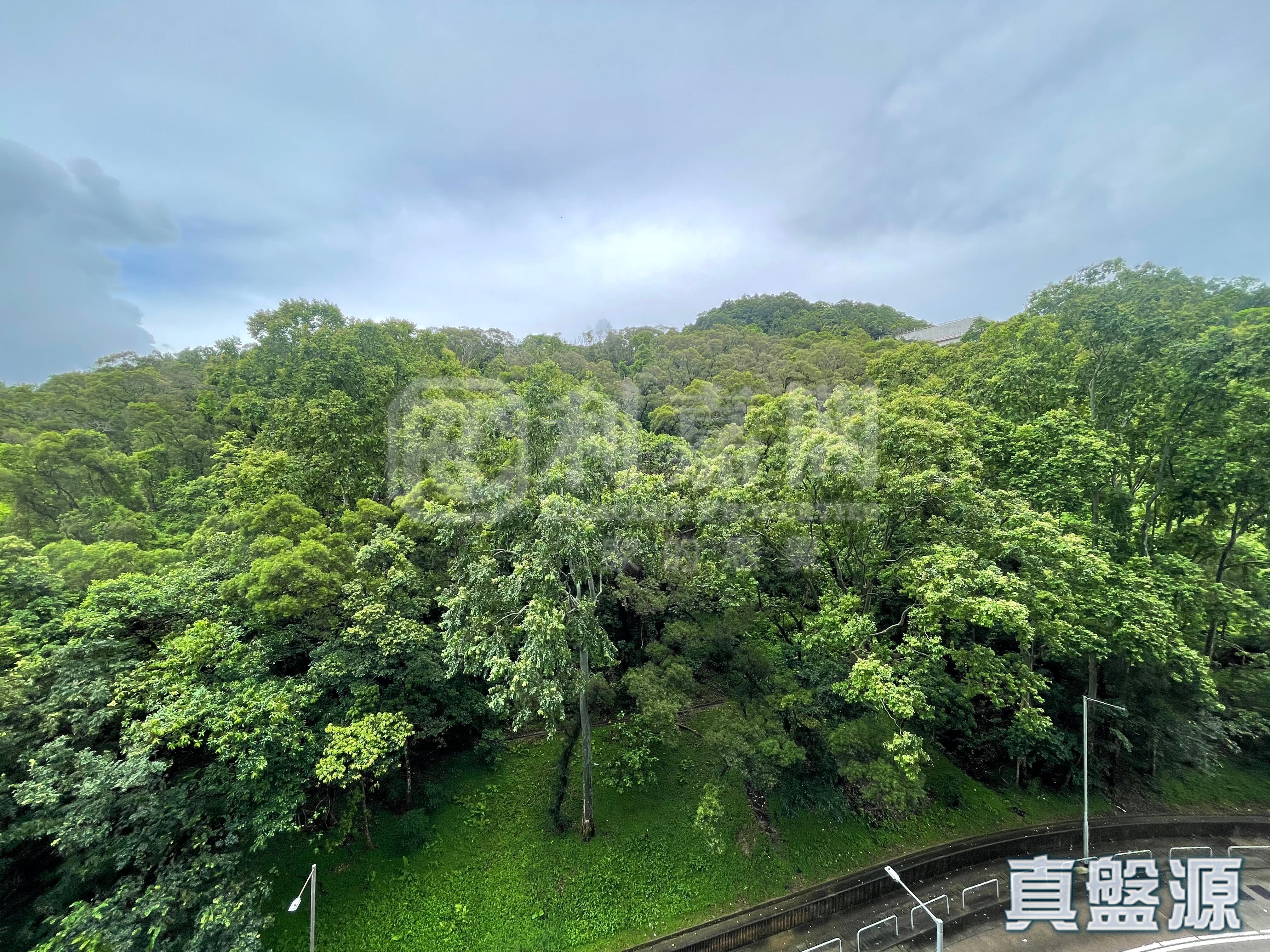 天钻 7座 高层 G室 大埔