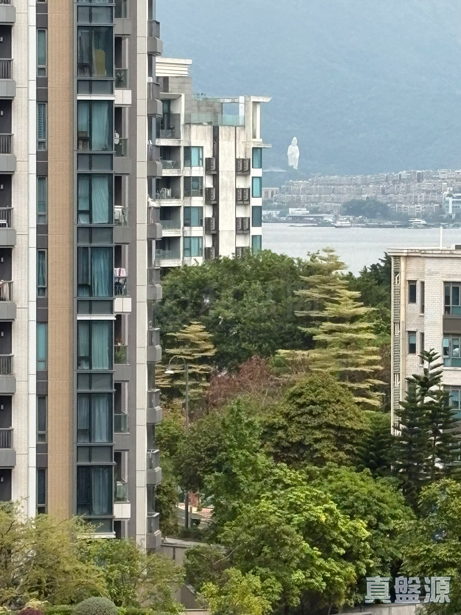 雲滙 2期 8座 中層 A2室 大埔