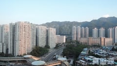 FESTIVAL CITY PHASE 3 - Tower 5 Low Floor Zone Flat SD Tai Wai