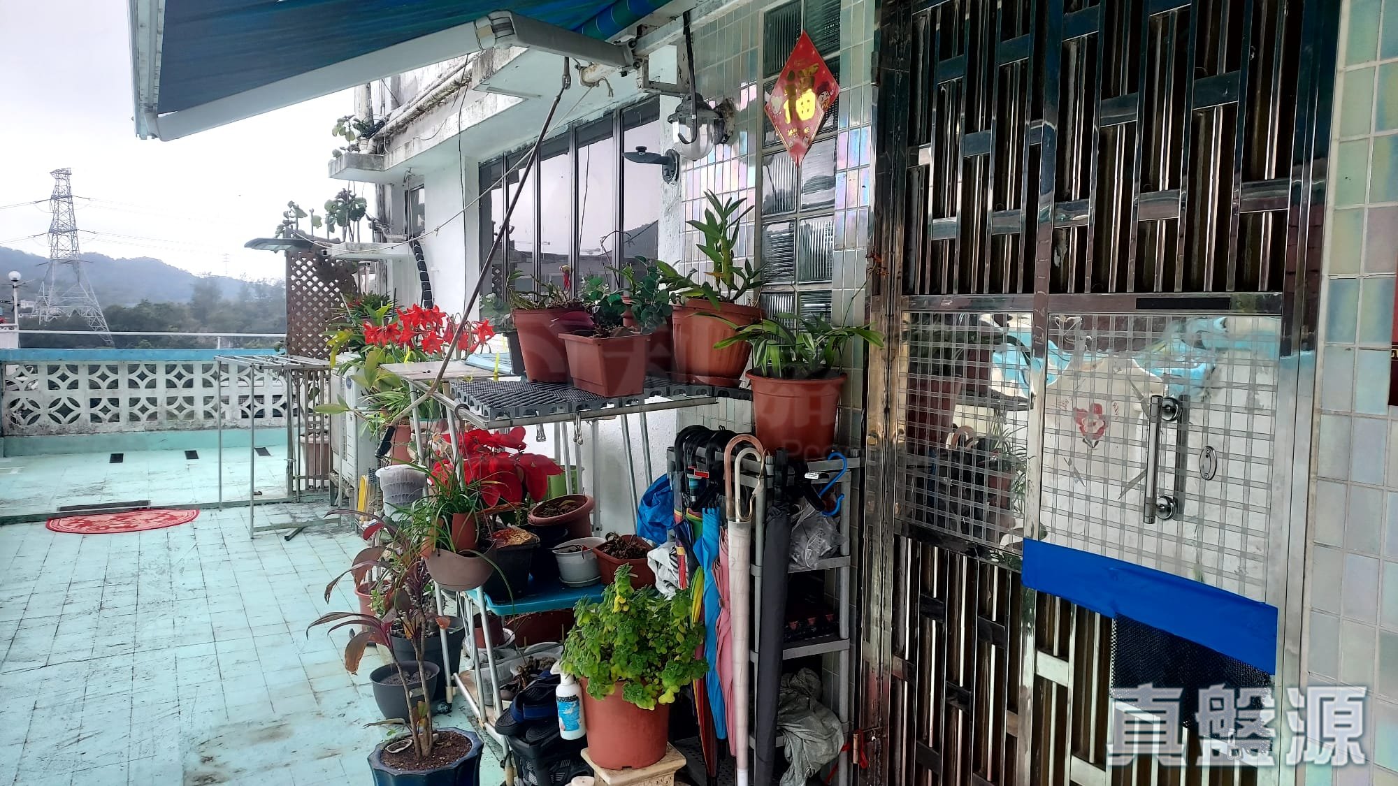 白石臺 10號 低層 10室 西貢