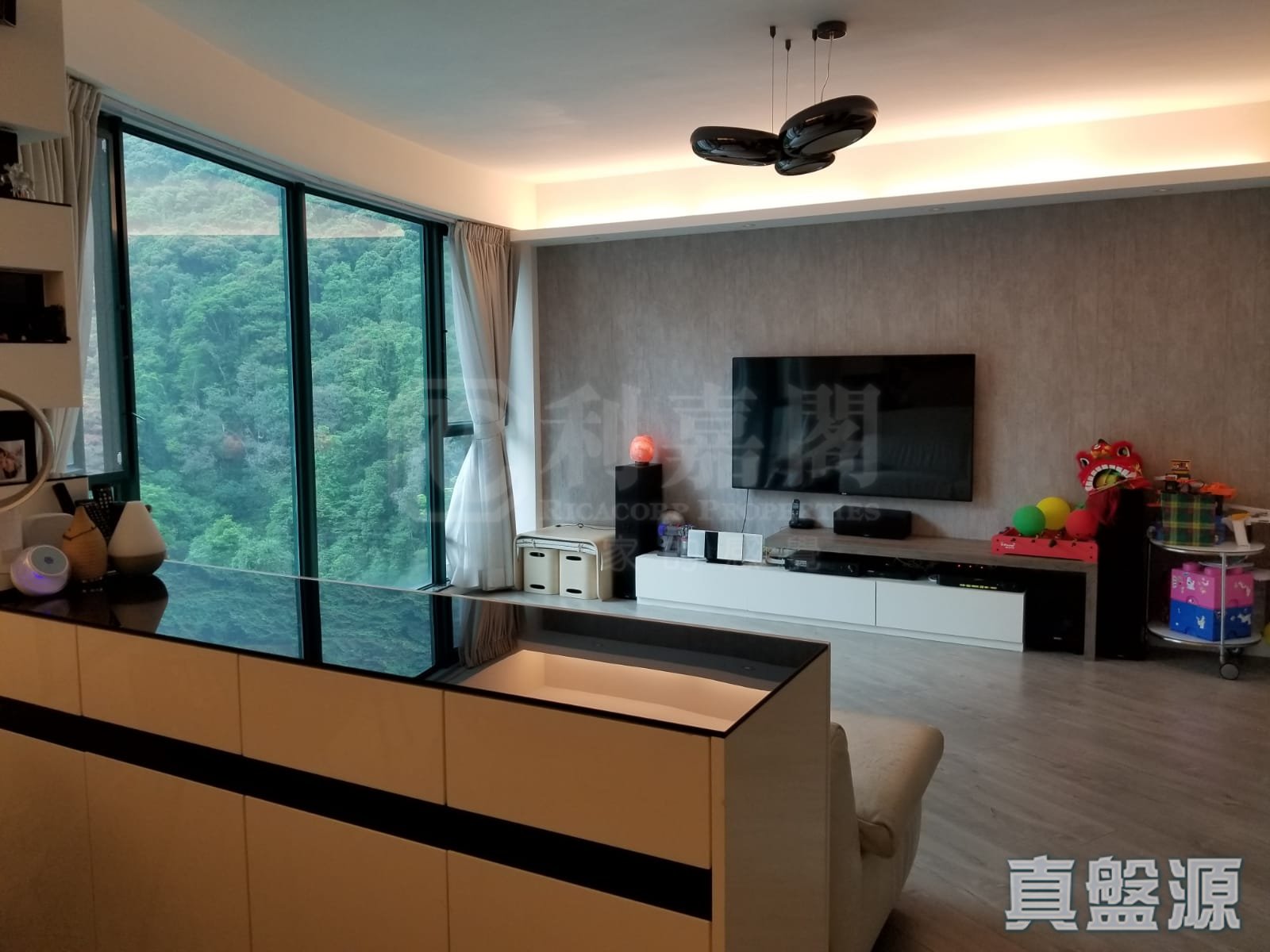 曉峰閣 1座 高層 D室 中半山