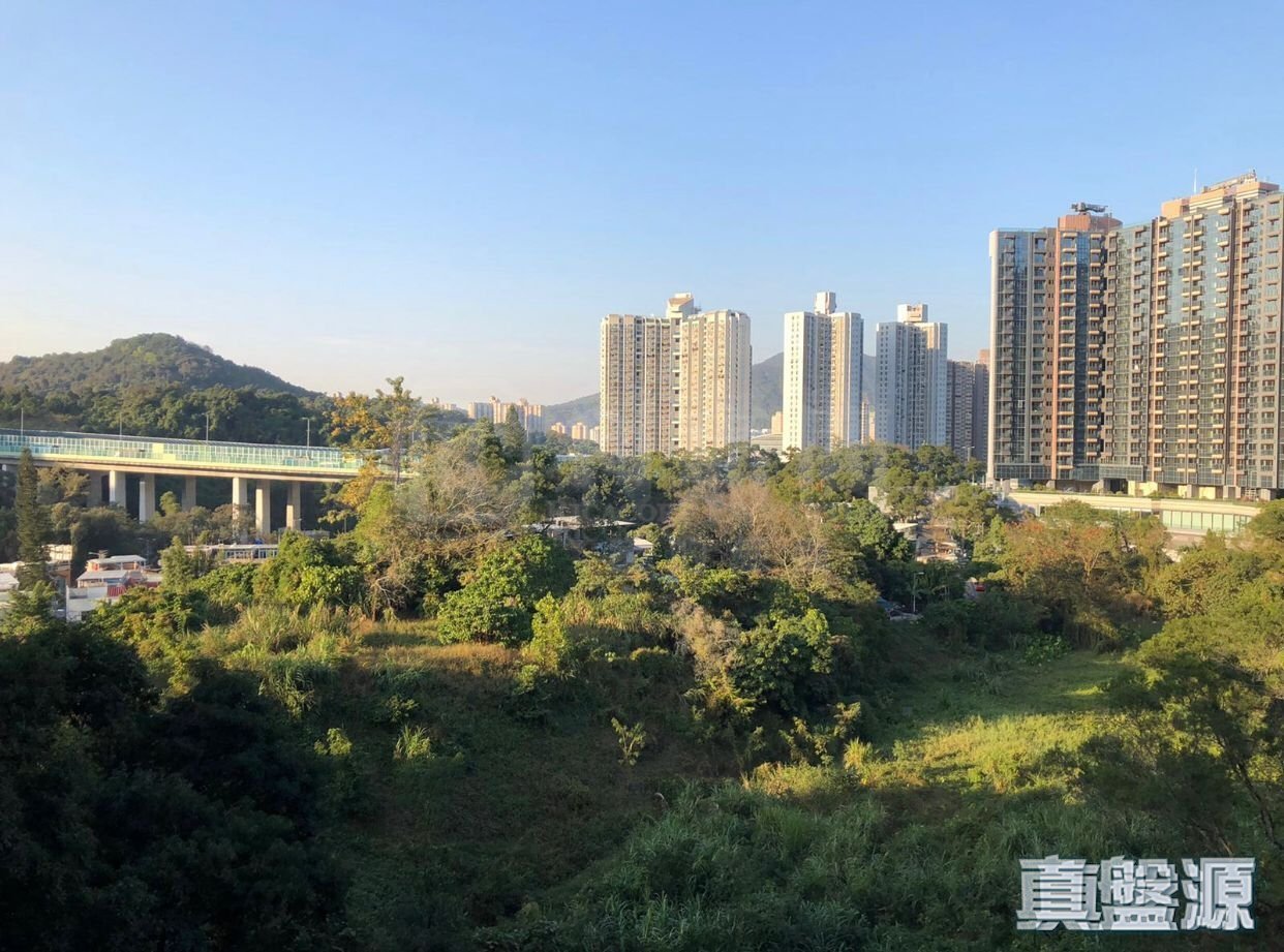 THE REGENT TOWER 15 Low Floor Zone Flat A Tai Po