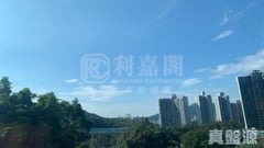 天鑽 15座 低層 A室 大埔