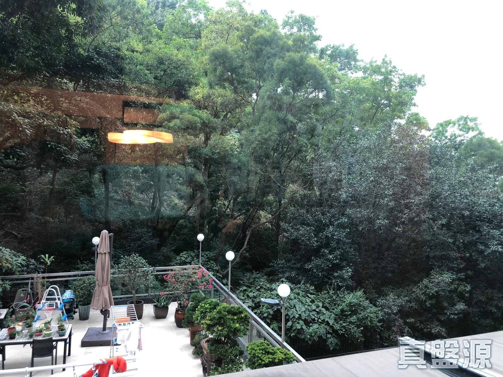 雲景台 A-B座 低層 A室 北角/北角半山