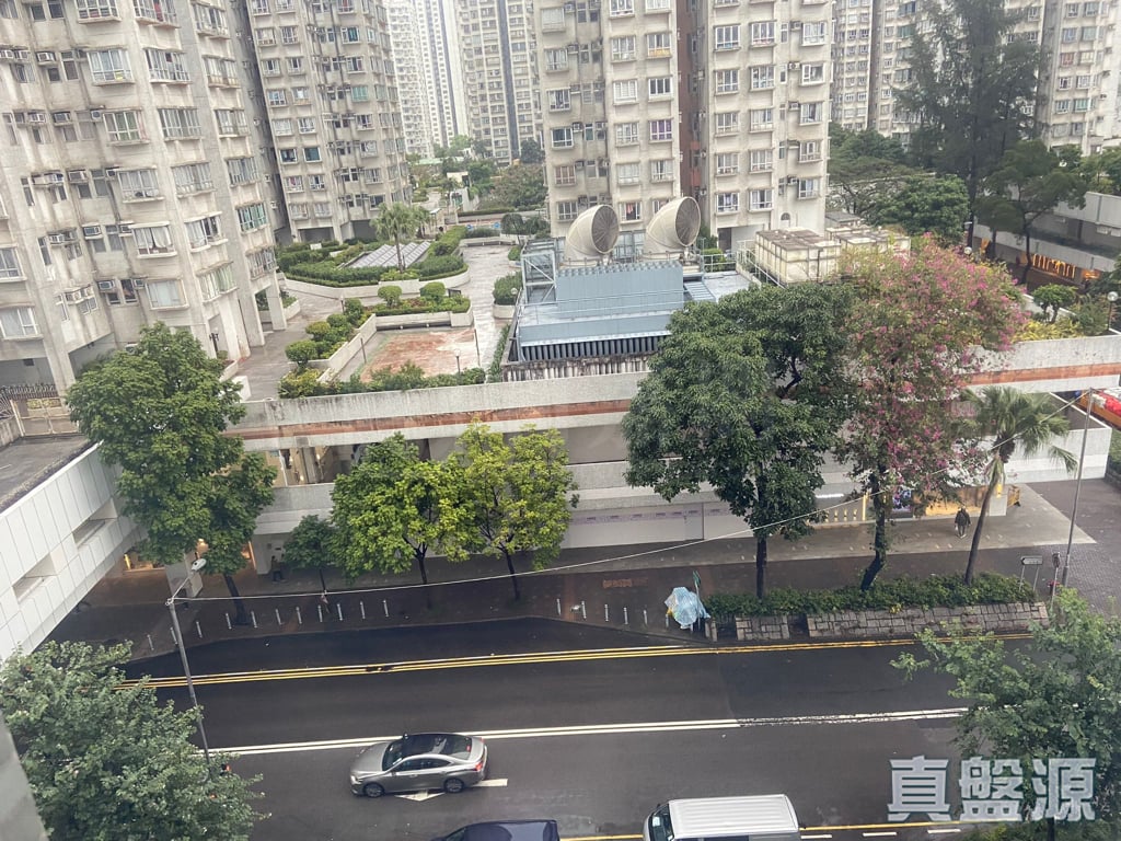 昌运中心 华昌阁 (4座) 低层 E室 大埔