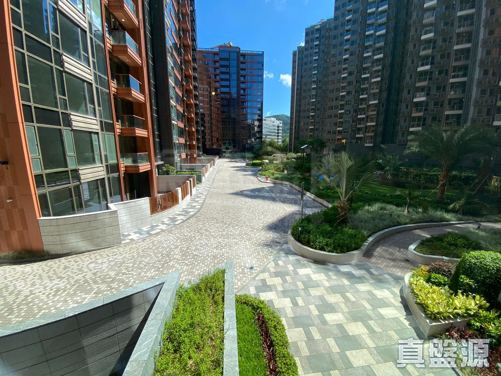 海日灣II 8座 低層 D室 大埔