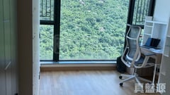 帝堡城 5座 極高層 H室 沙田/火炭/九肚山