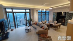 名家匯 2座 極高層 B室 大圍