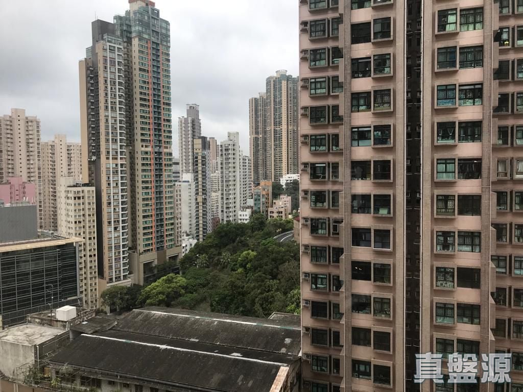 嘉輝花園 B座 高層 B3室 中上環/西區