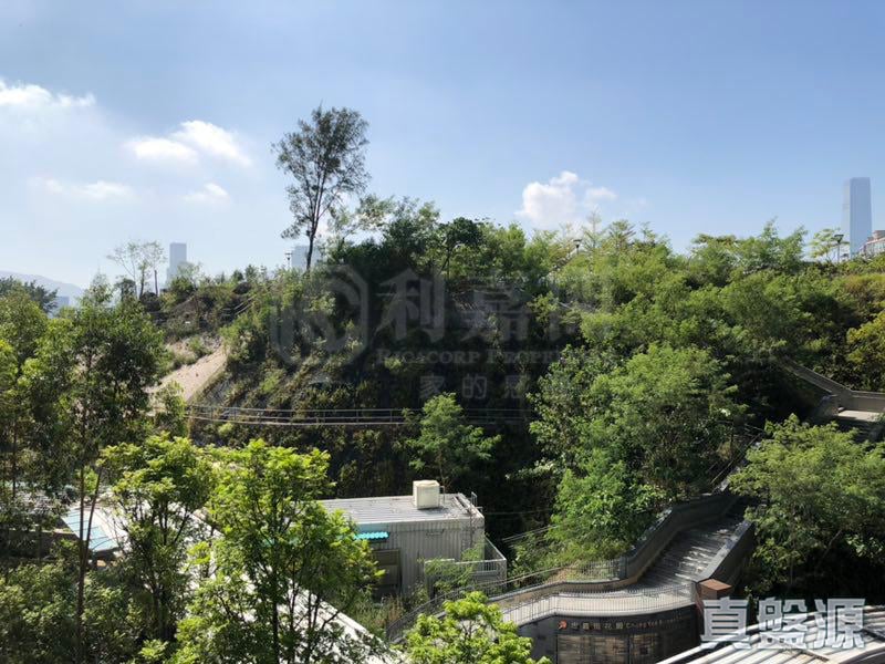 天鑄 2期 2座 中層 B室 何文田/京士柏/九龍塘/又一村