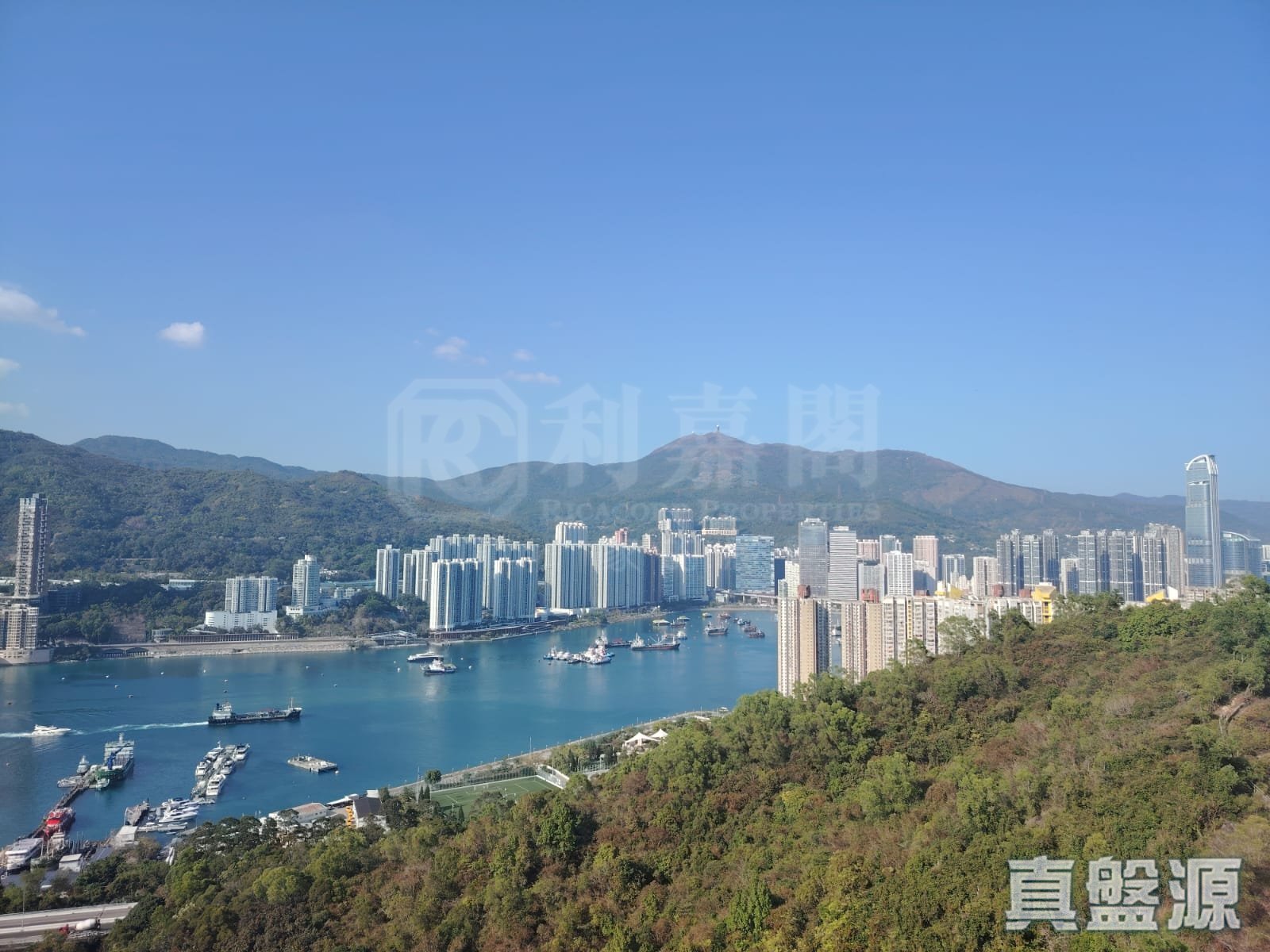 薈藍 高層 A08室 青衣