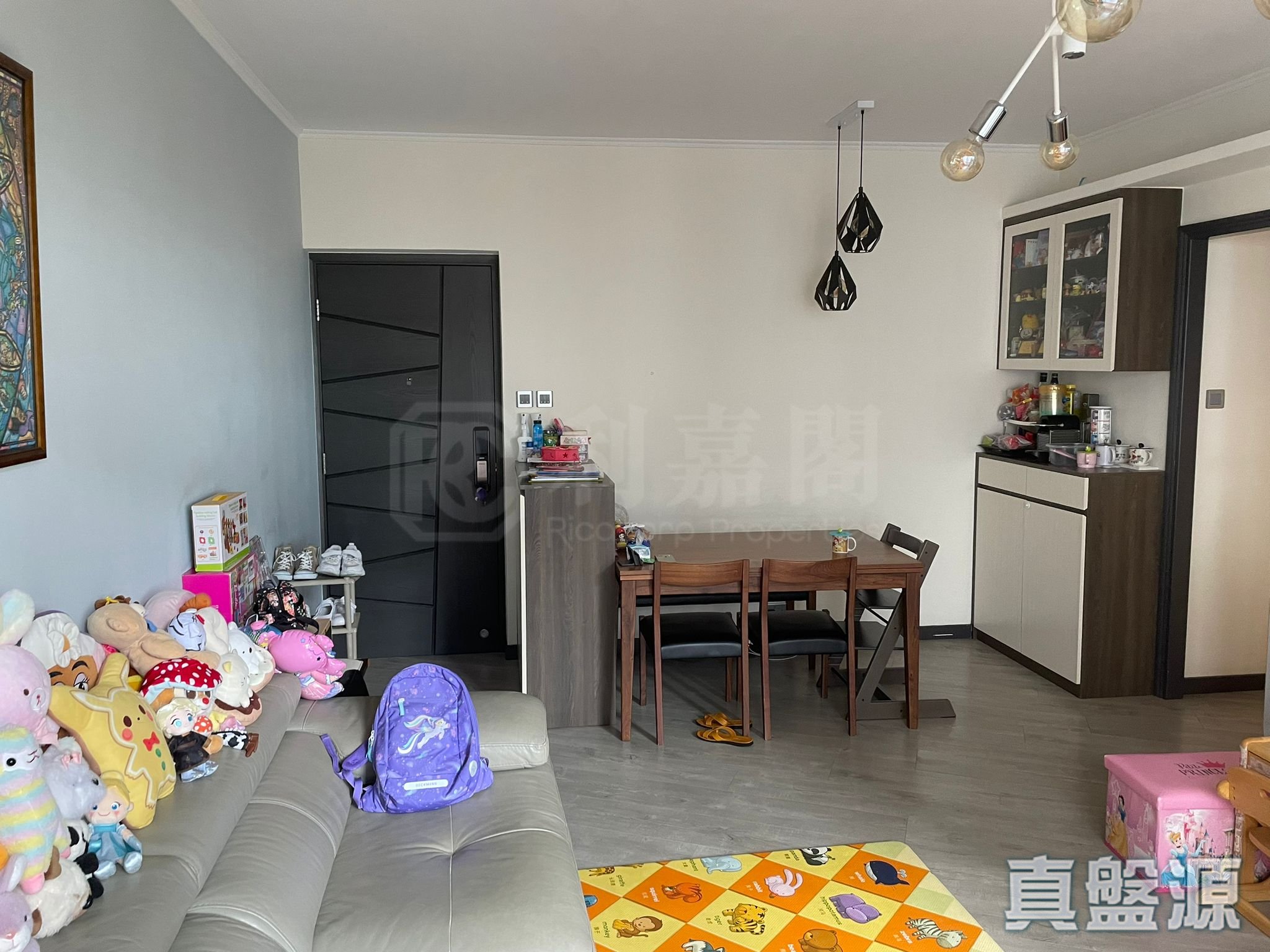 正大花園 高層 D室 西半山