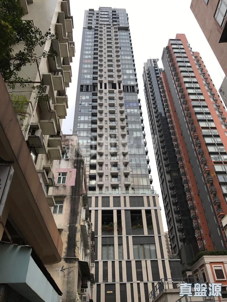 尚巒 低層 D室 跑馬地/東半山