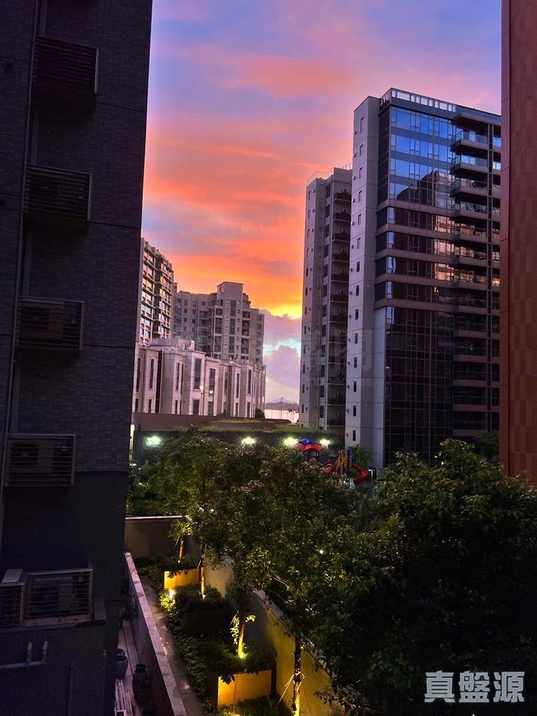 嘉熙 8座 低層 H室 大埔