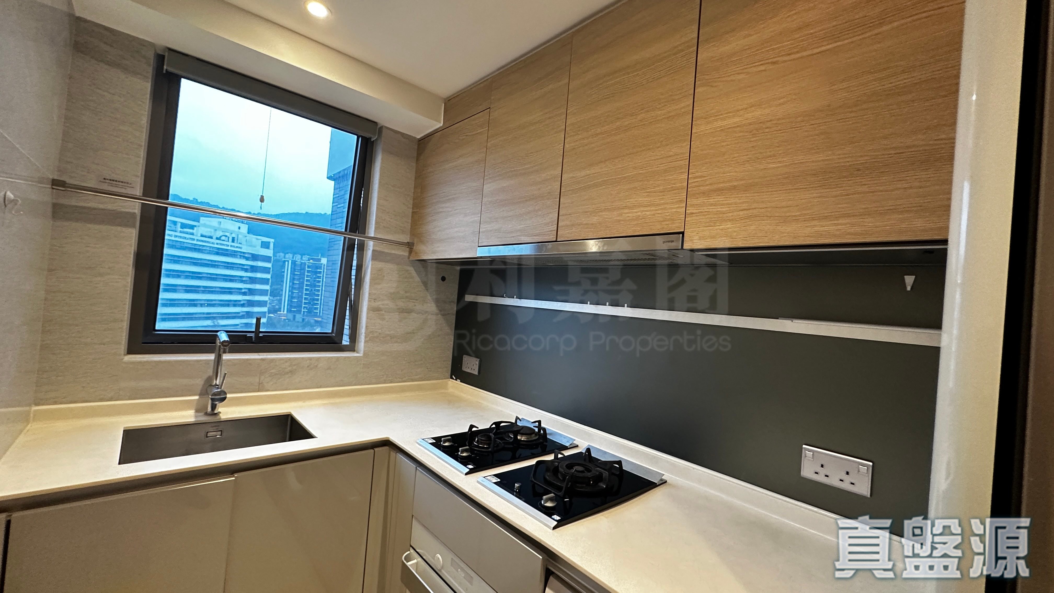 嘉熙 1座 高层 B室 大埔