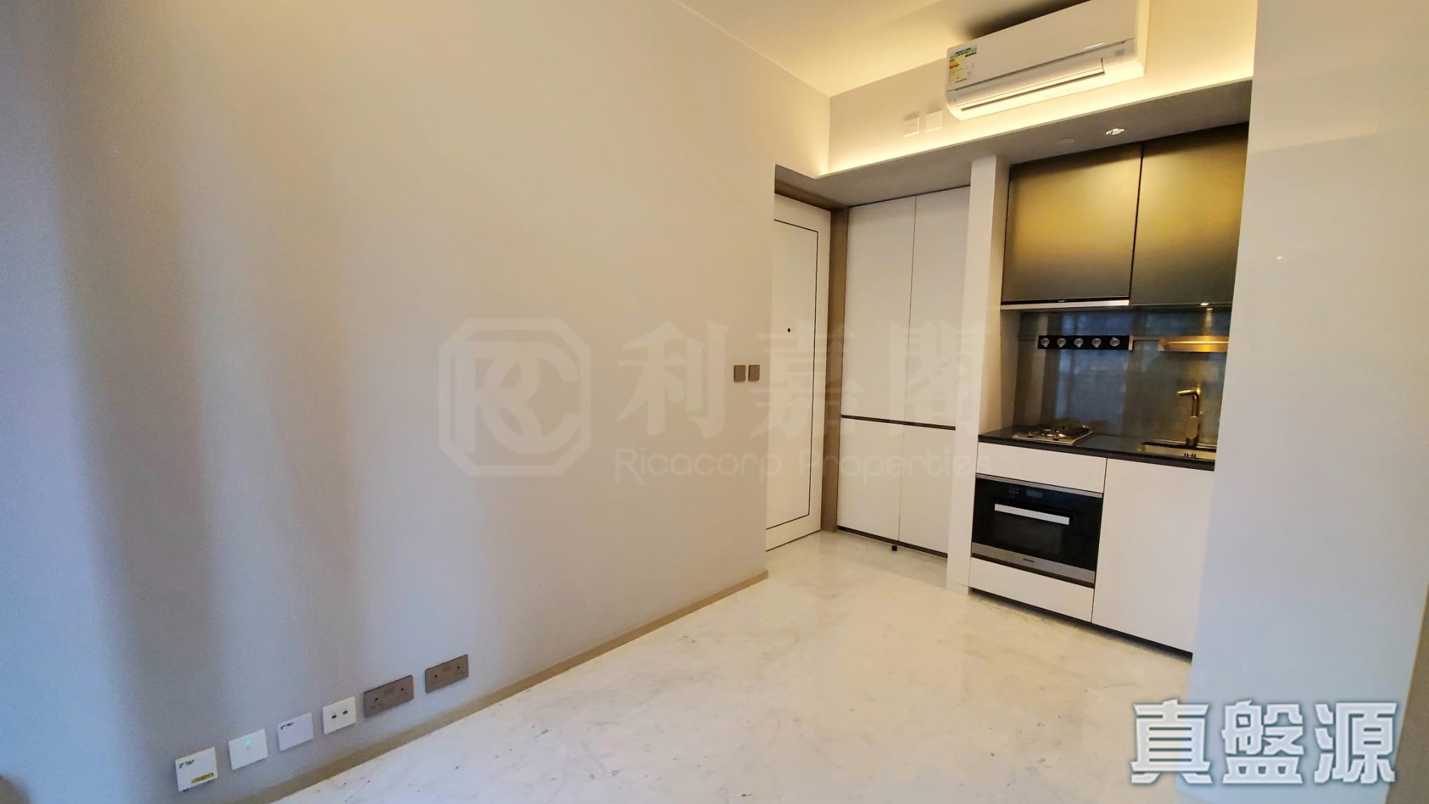 THE RICHMOND 低層 D室 西半山