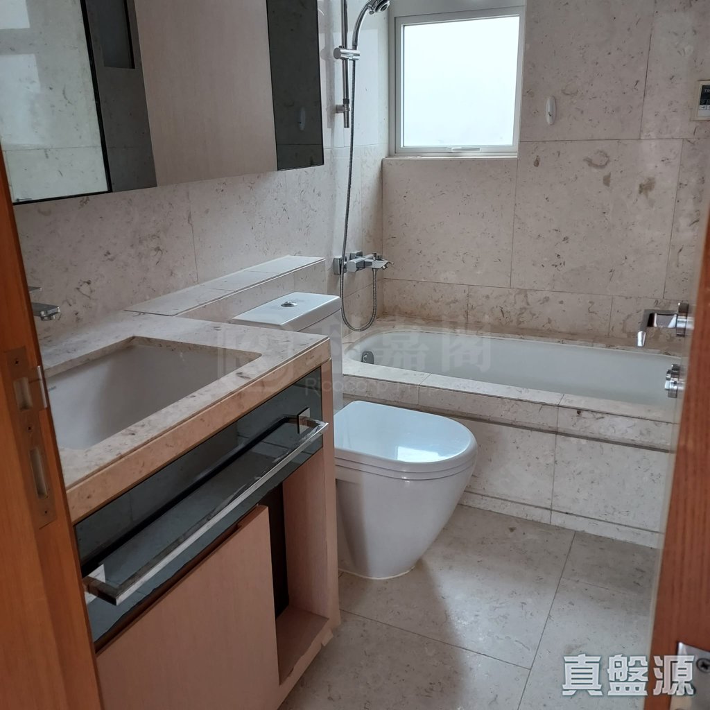 星堤 10座 極高層 C室 深井/青山公路