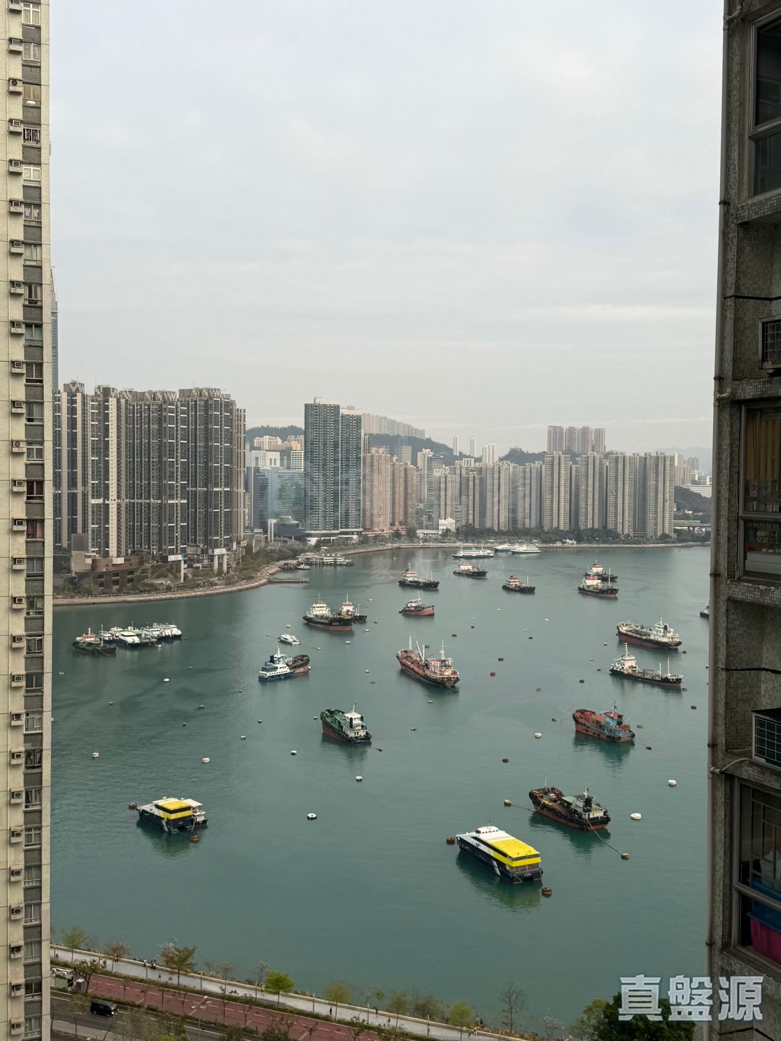 麗城花園 2期 2座 高層 G室 荃灣