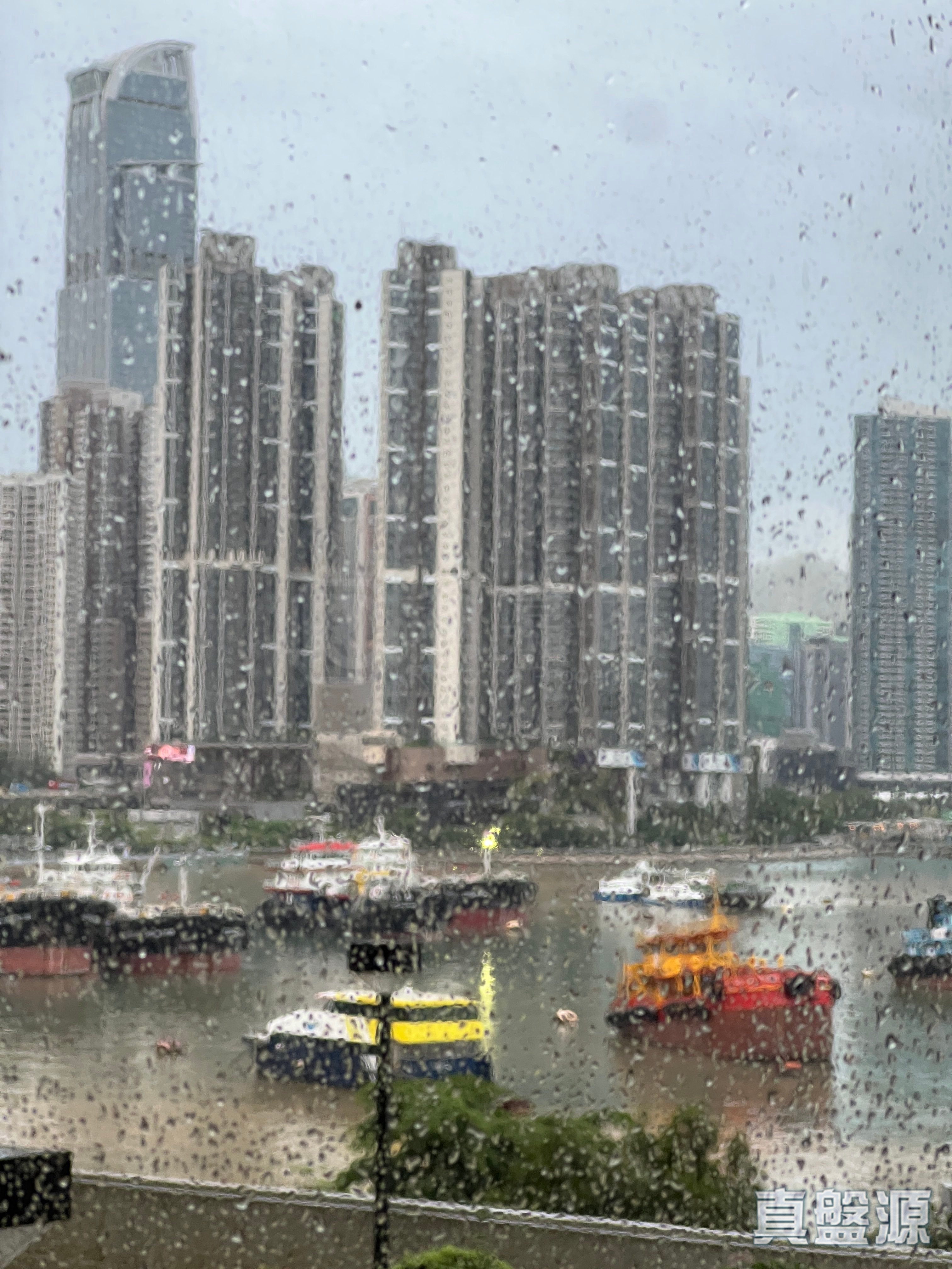 BELVEDERE GARDEN PHASE 3 - Block 4 Low Floor Zone Flat C Tsuen Wan