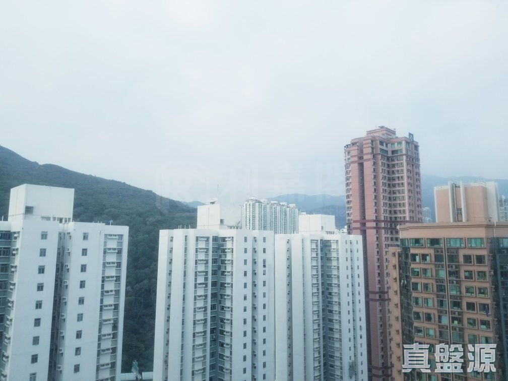 麗城花園 3期 6座 極高層 A室 荃灣