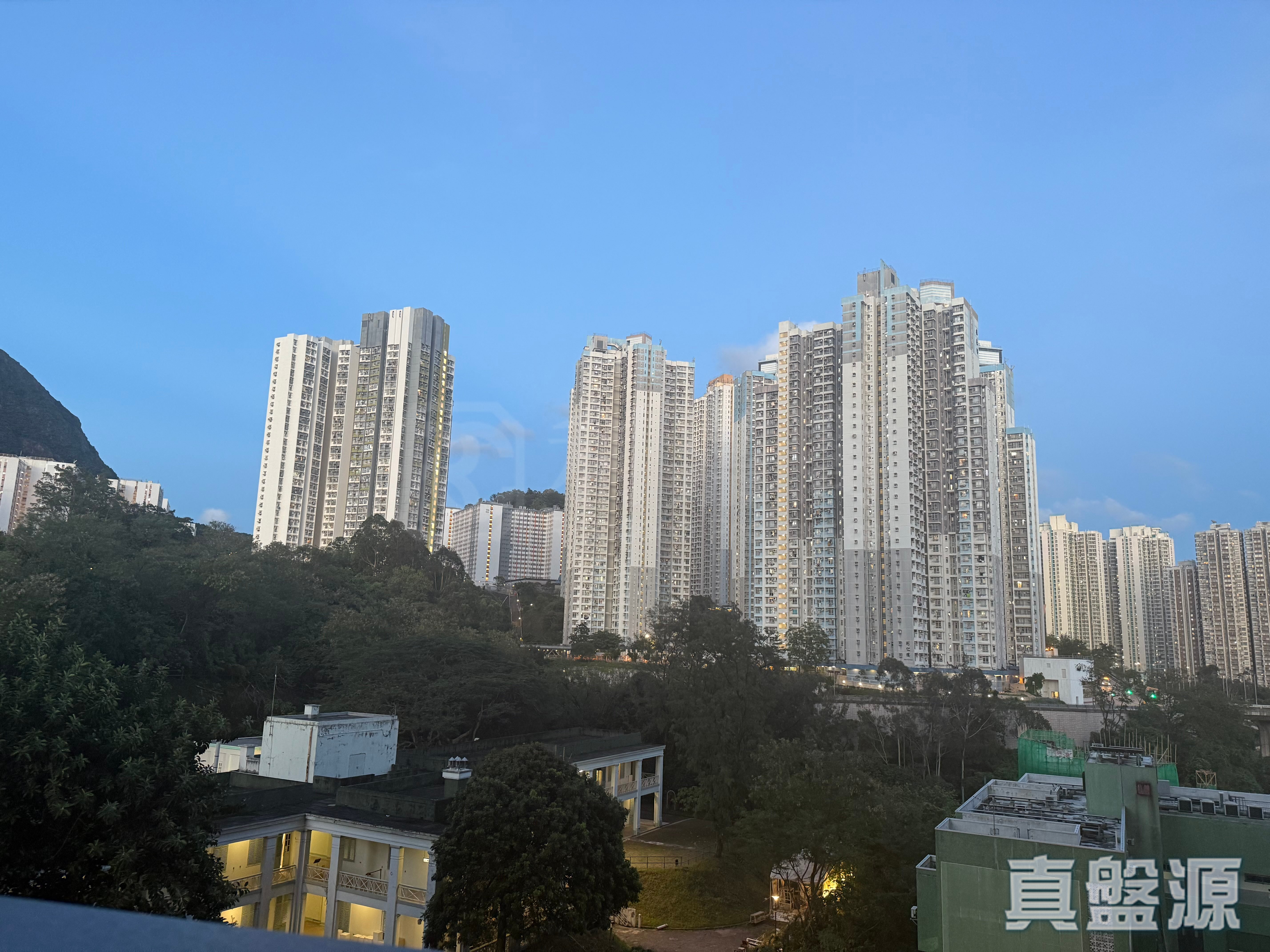 泰峯 2B座 中层 B室 九龙湾/牛池湾/钻石山/黄大仙