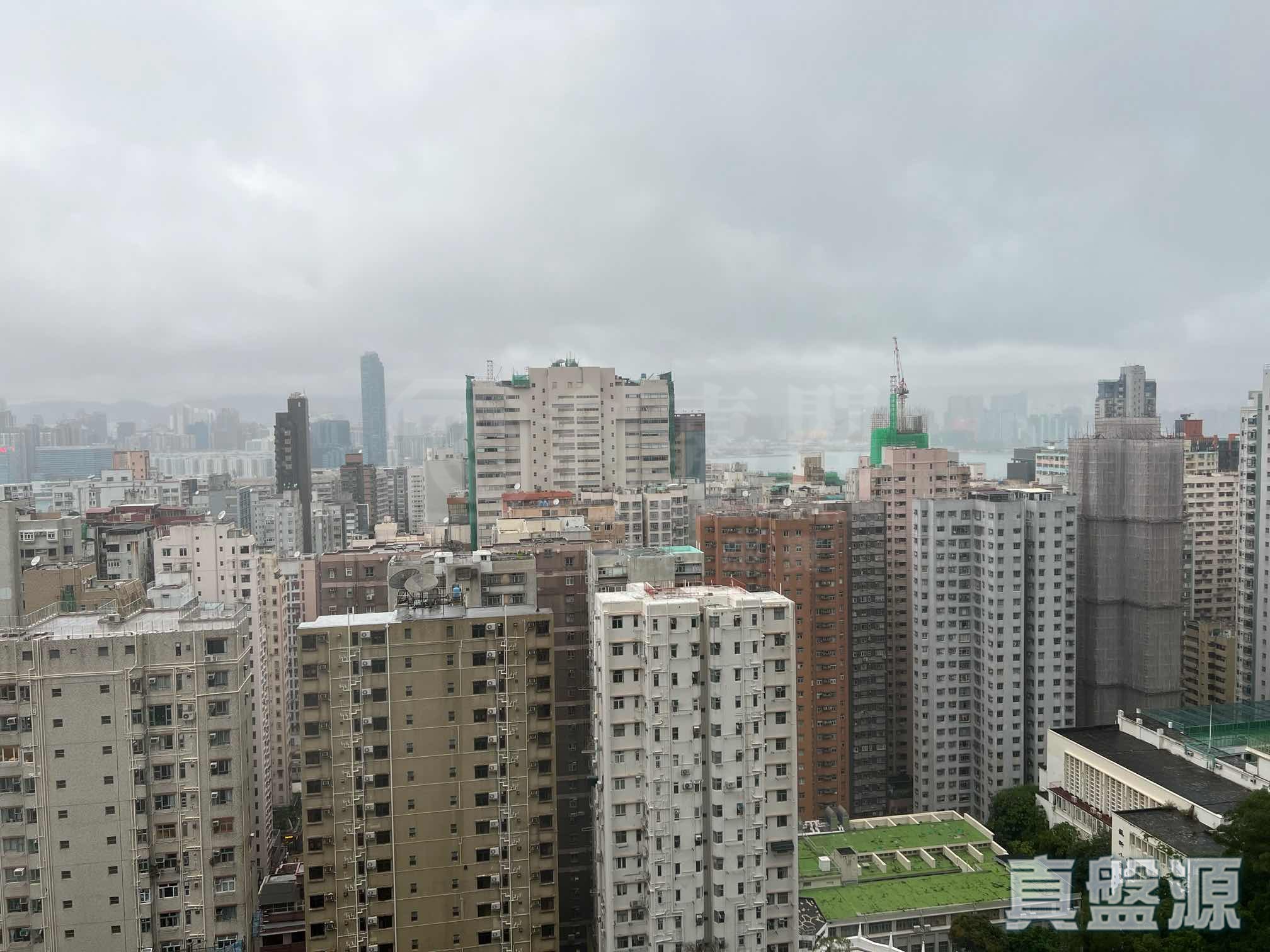 珊瑚阁 A1-A2座 中层 北角/北角半山