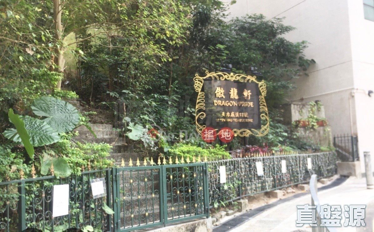 傲龙轩 中层 C室 北角/北角半山
