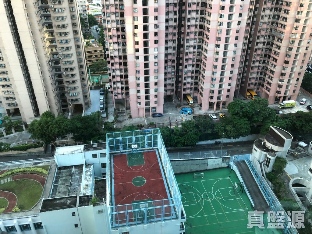 豪廷峰 1座 中層 D室 北角/北角半山