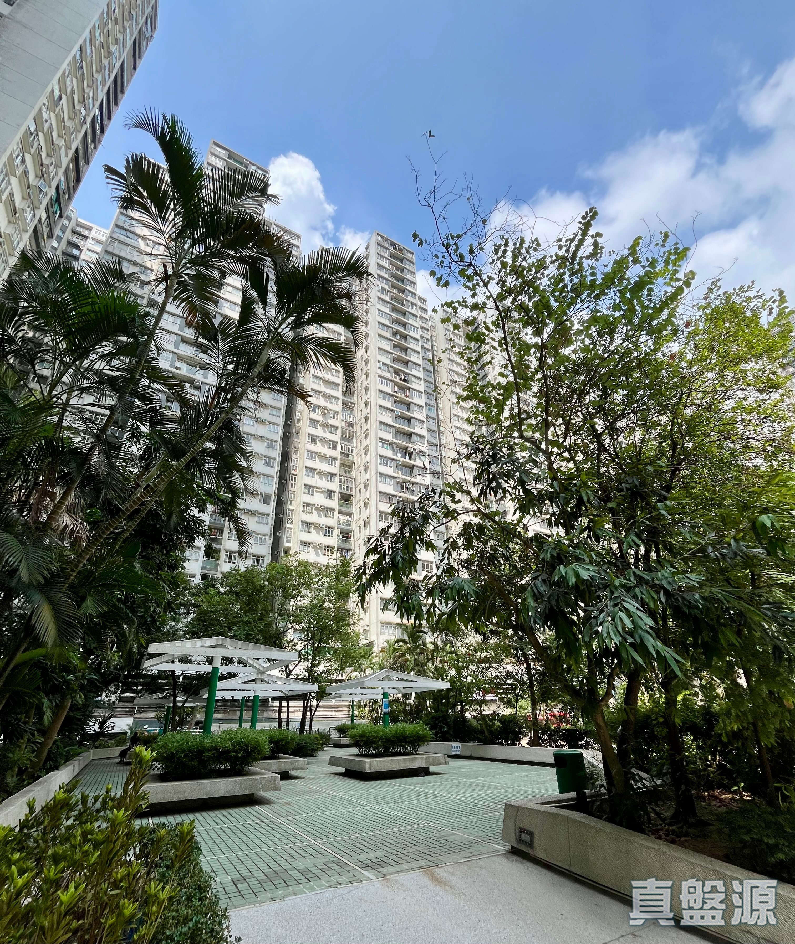 CITY GARDEN PHASE 2 - Block 10 Medium Floor Zone Flat C North Point/North Point Mid-Levels