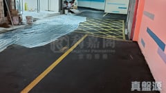 富豪閣 3座 低層 B室 北角/北角半山