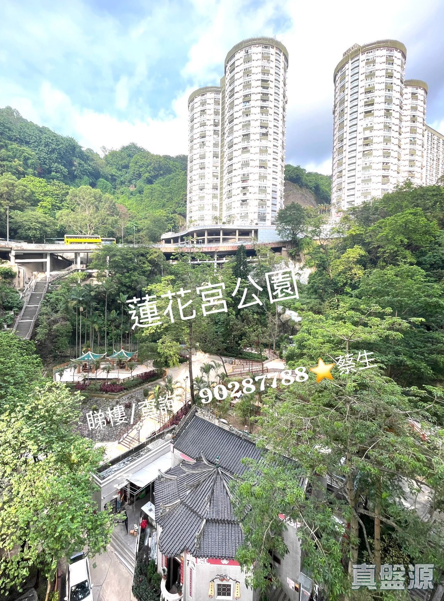 金樂居 高層 A室 跑馬地/東半山