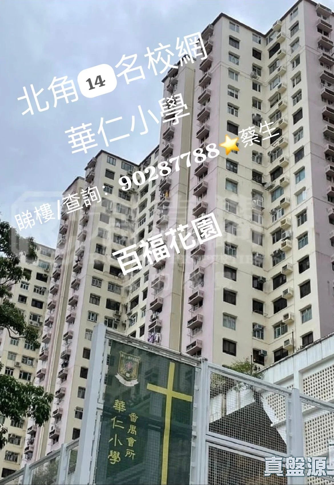 百福花园 百胜阁 高层 B室 北角/北角半山