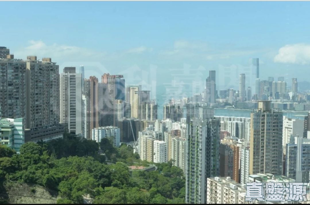 豪景 极高层 C室 北角/北角半山