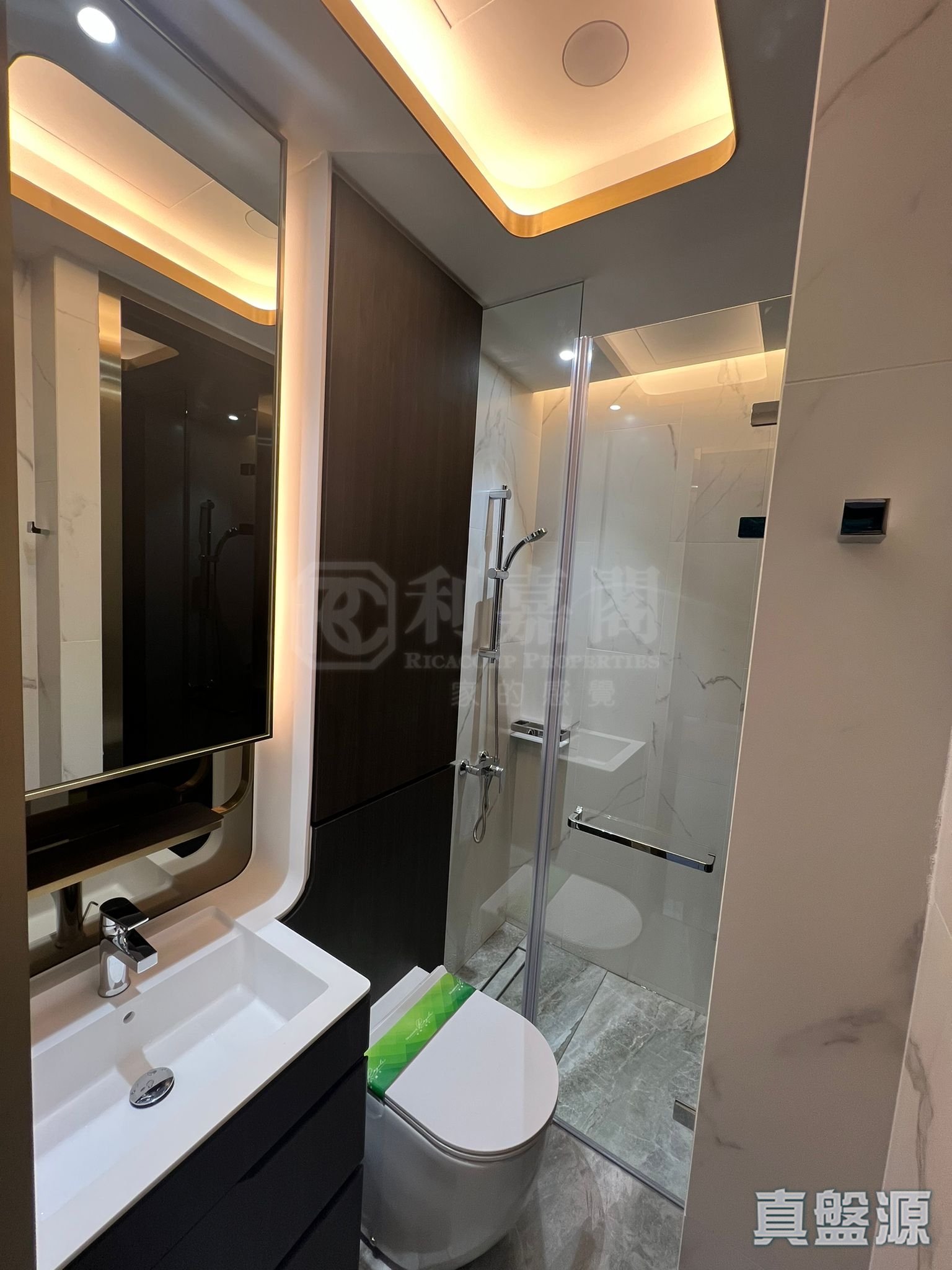 帝御 3期 帝御‧嵐天 7座 低層 9室 深井/青山公路