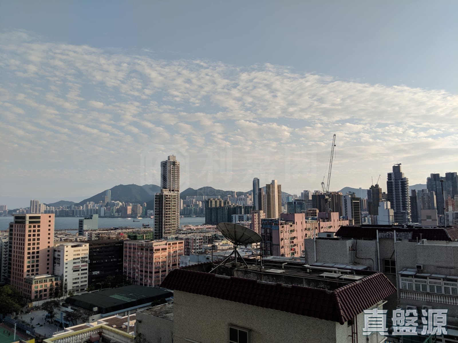 喜築 高層 A室 土瓜灣/九龍城/新啟德/新蒲崗