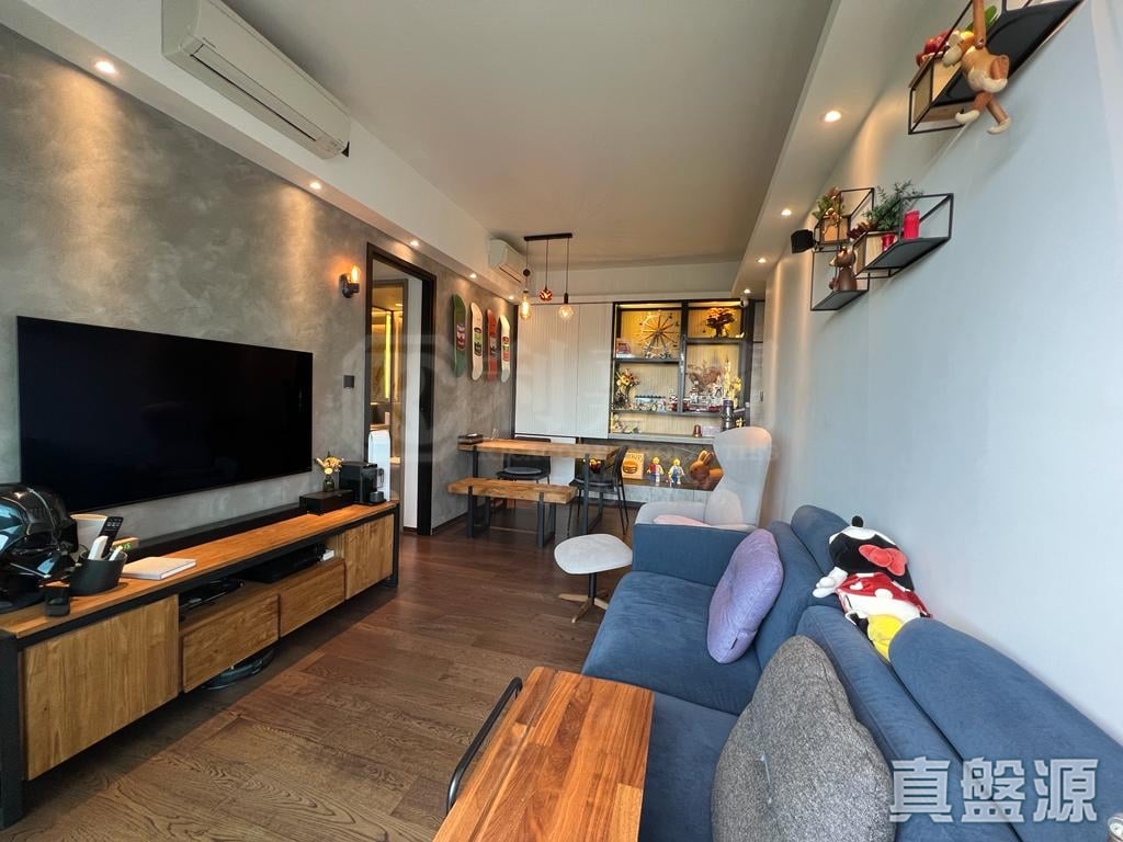 上源 3B座 極高層 D室 深井/青山公路