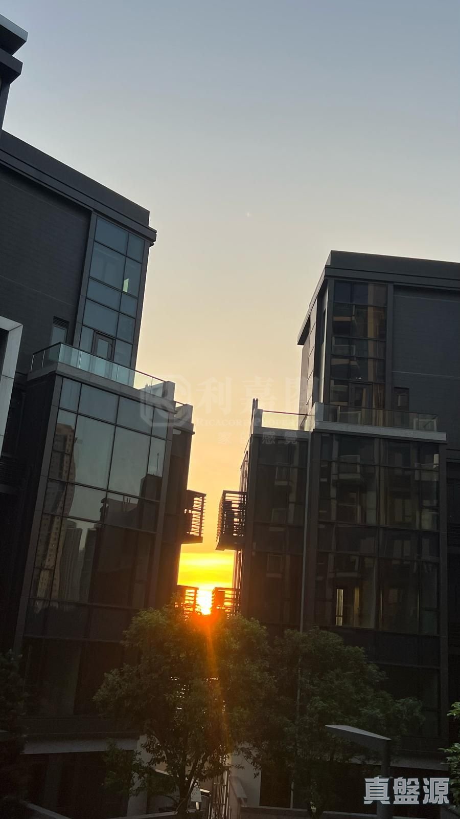 WETLAND SEASONS BAY 1期 2B座 天水围