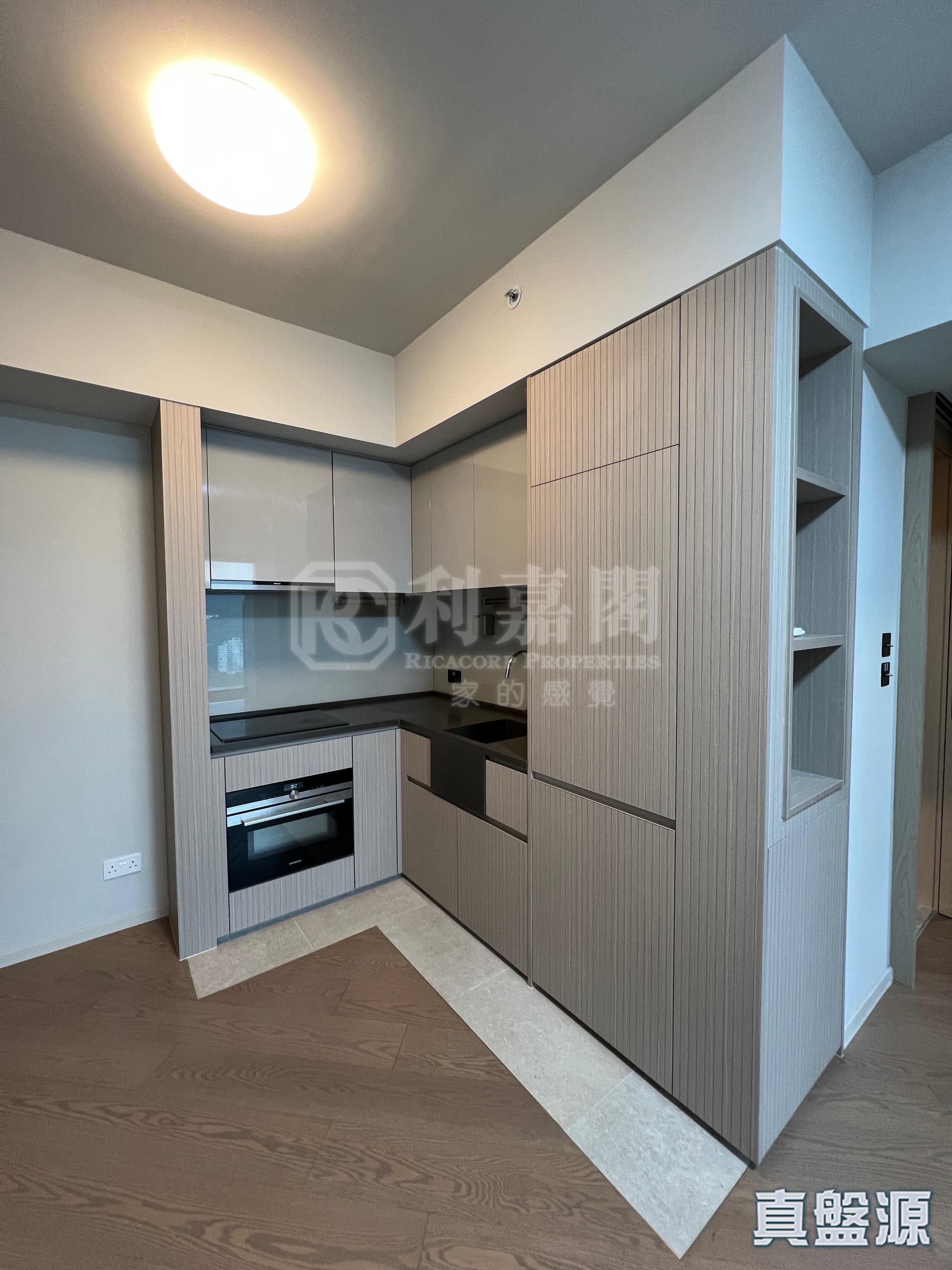 柏傲莊 2期 6座 (6A) 低層 C室 大圍