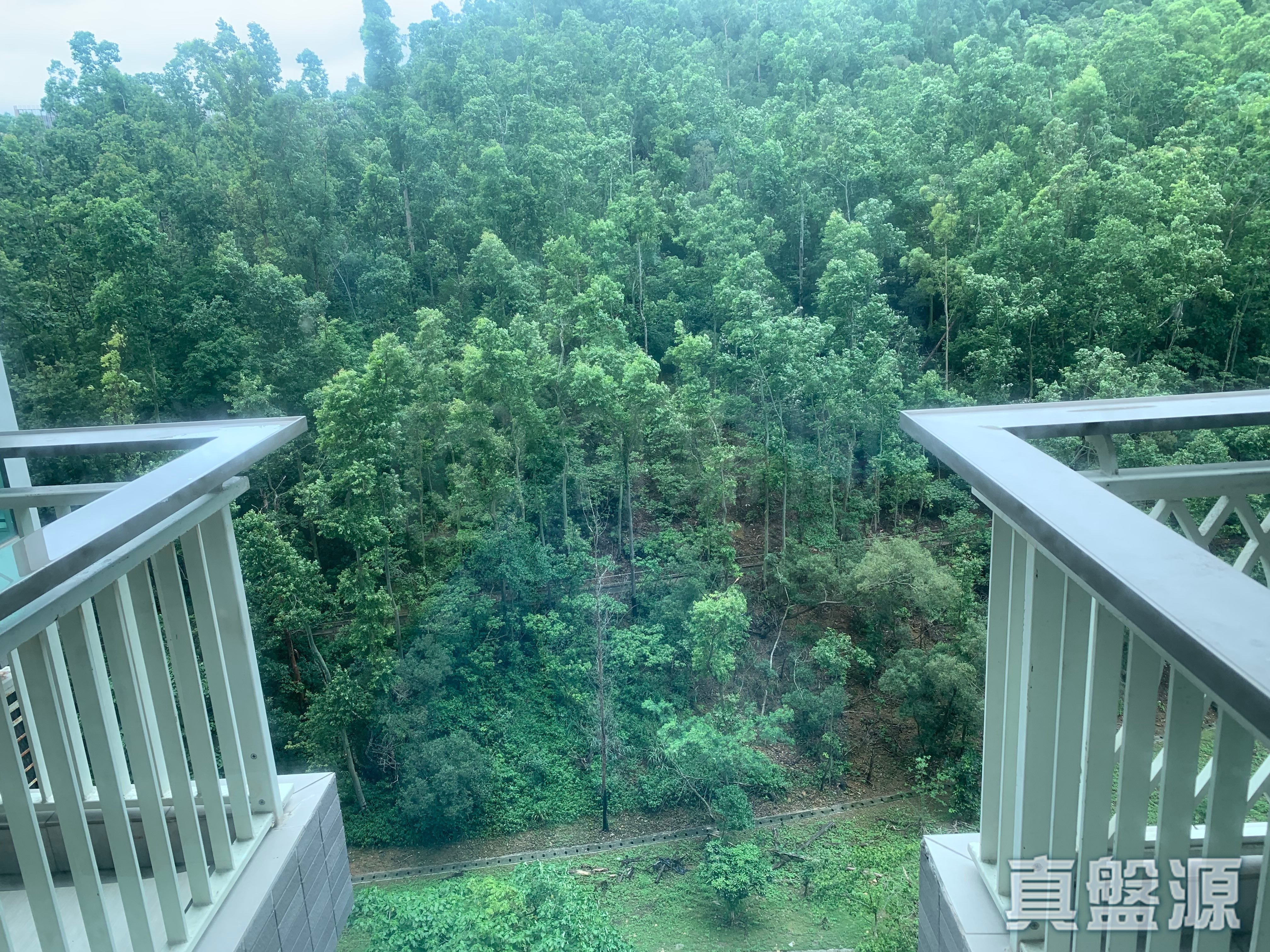 峻滢 1期 5座 低层 B室 将军澳