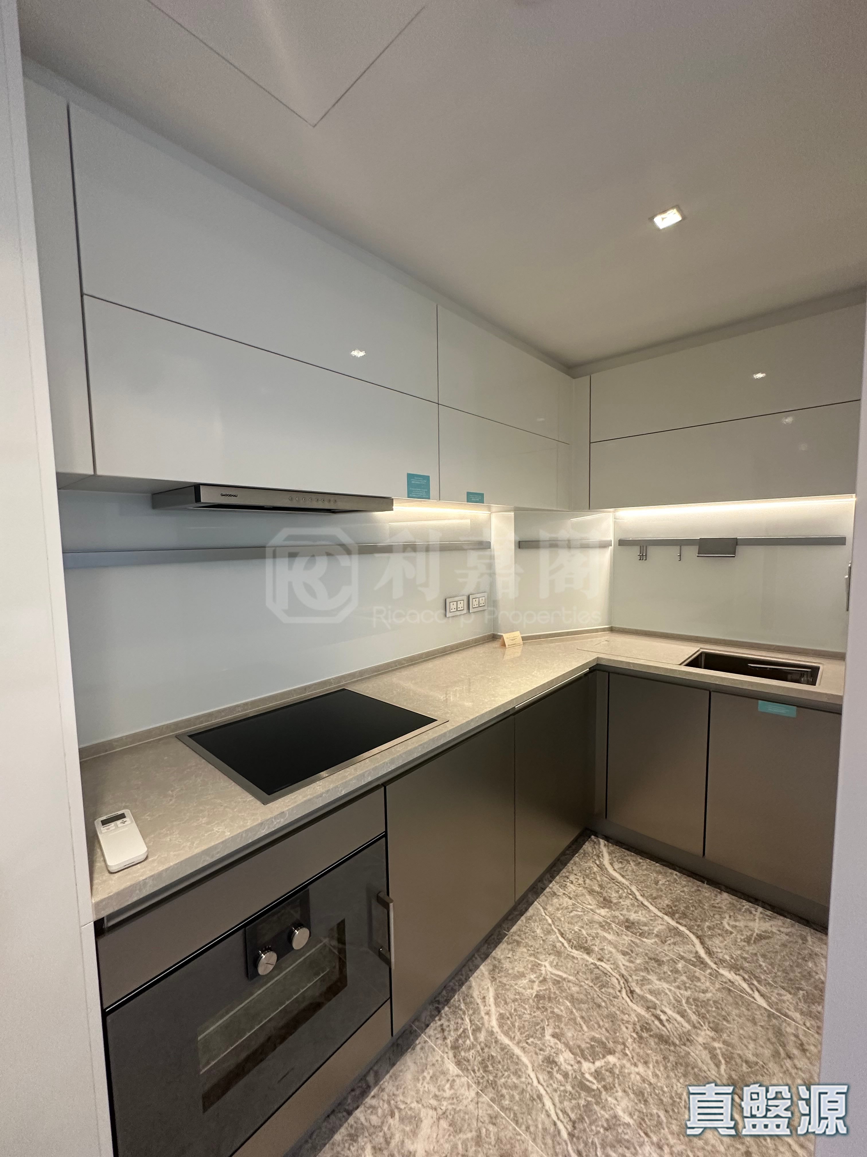 THE SOUTHSIDE PHASE 3C BLUE COAST II - Tower 3 Low Floor Zone Flat E Wong Chuk Hang/Sham Wan
