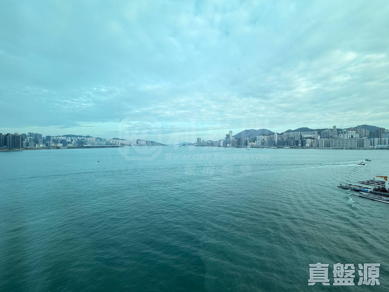 海逸豪园 4期 海逸湾 16座 中层 CD室 红磡/黄埔/海逸