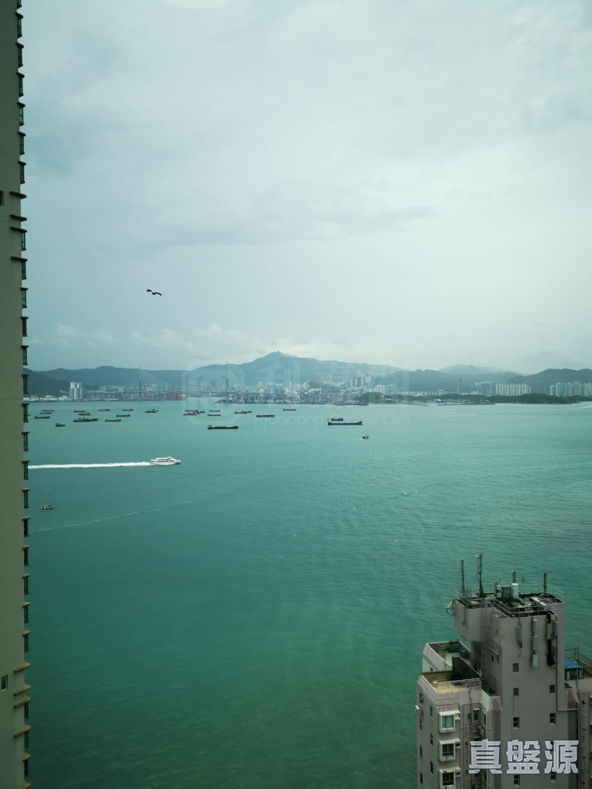 泓都 3座 高層 A室 中上環/西區