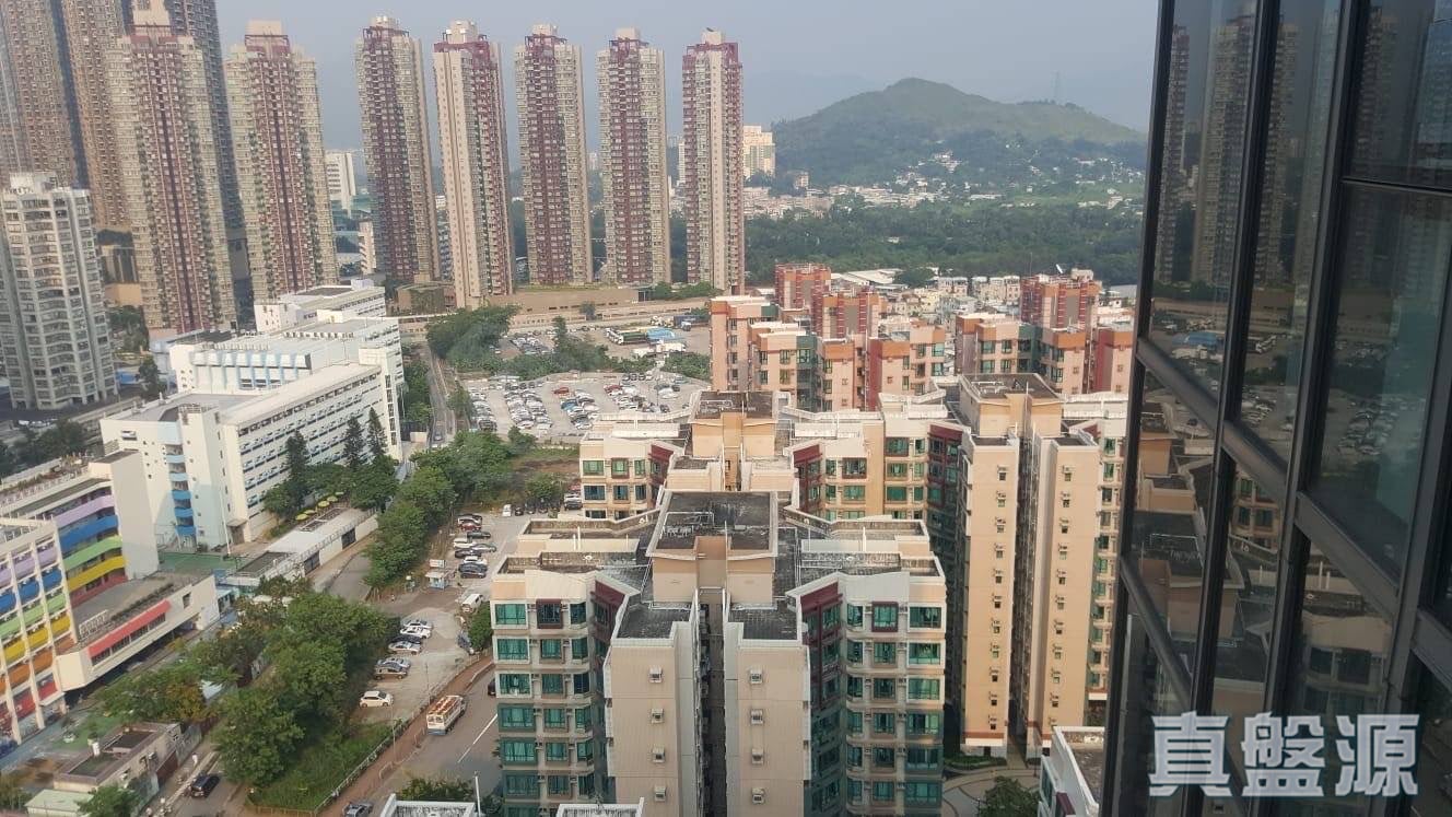 RESIDENCE 譽88 1座 高層 D室 元朗
